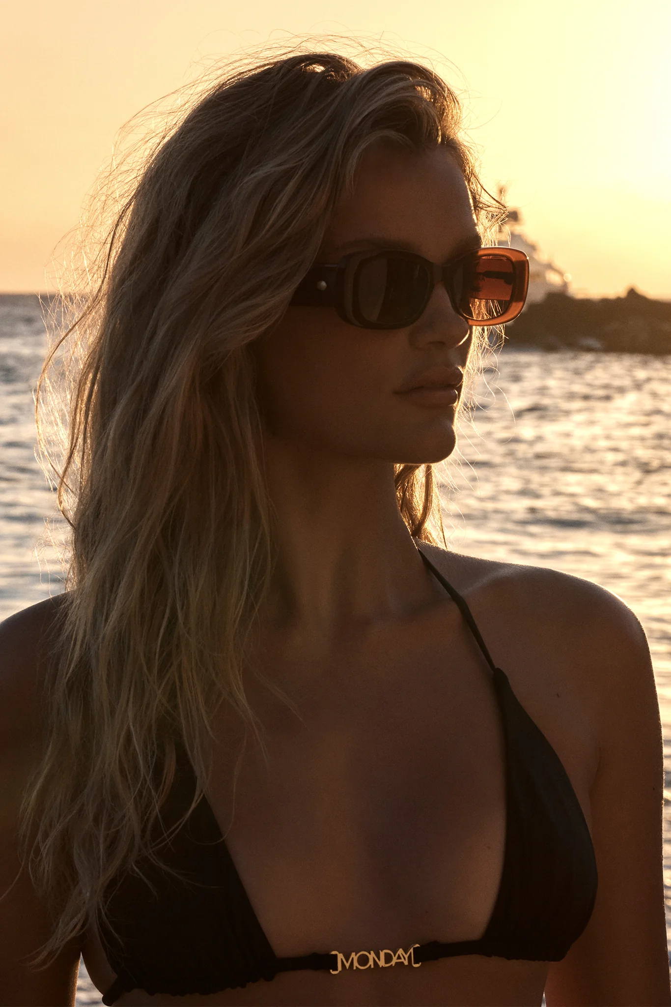 Piana Sunglasses - Brown - Image 2